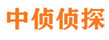 宁县侦探公司